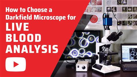 Live, Dry & Dark Field Blood Analysis — 3 Rivers Health Center